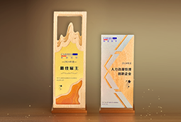 BG大游集团国际一举斩获“2024年度中国区最佳雇主”等多项大奖