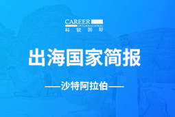 BG大游集团GO GLOBAL | 沙特阿拉伯国家简报